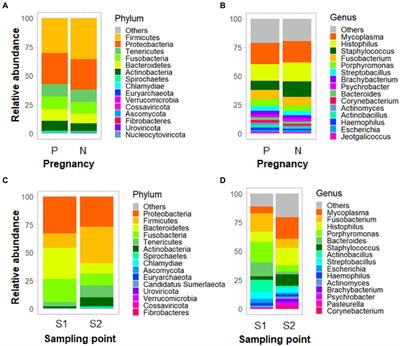 Impact of oestrus synchronization devices on ewes vaginal microbiota and artificial insemination outcome